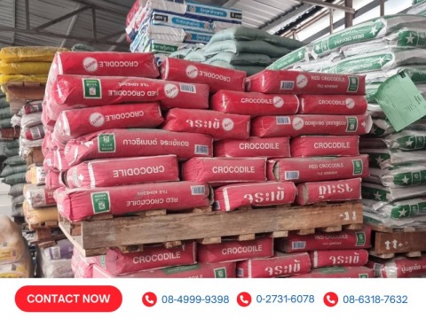 ปูนกาวซีเมนต์ จระเข้แดง